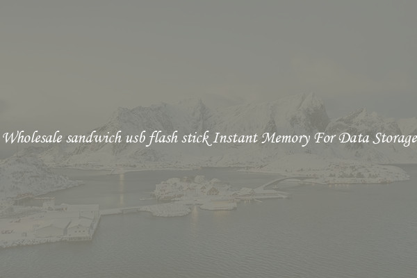 Wholesale sandwich usb flash stick Instant Memory For Data Storage