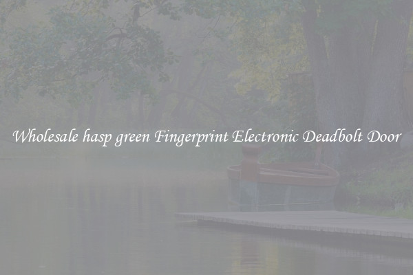 Wholesale hasp green Fingerprint Electronic Deadbolt Door 