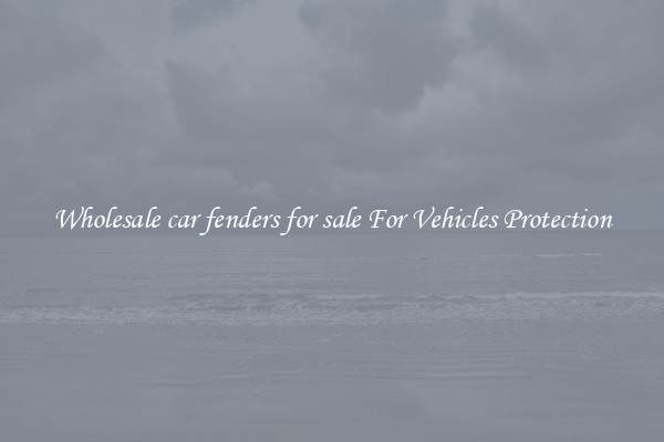 Wholesale car fenders for sale For Vehicles Protection