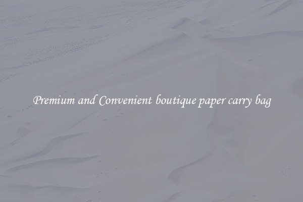 Premium and Convenient boutique paper carry bag
