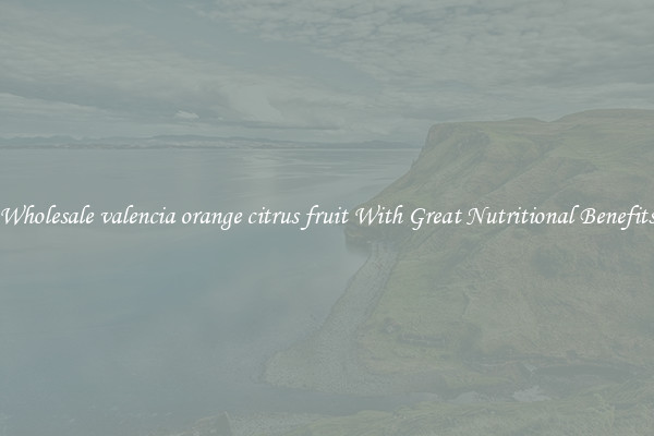 Wholesale valencia orange citrus fruit With Great Nutritional Benefits