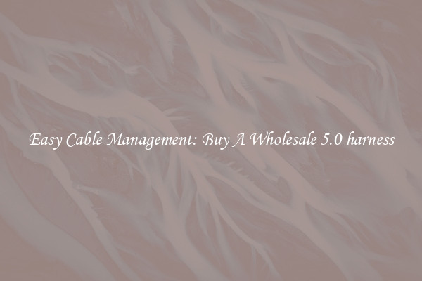 Easy Cable Management: Buy A Wholesale 5.0 harness