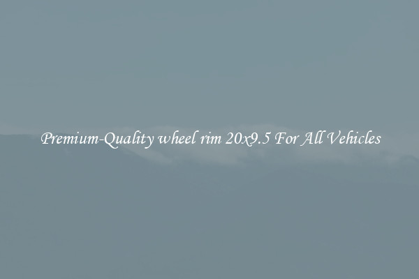 Premium-Quality wheel rim 20x9.5 For All Vehicles