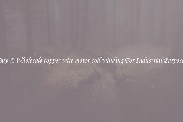 Buy A Wholesale copper wire motor coil winding For Industrial Purposes
