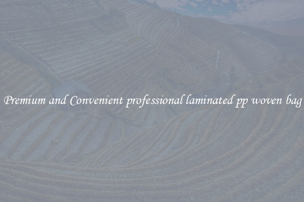 Premium and Convenient professional laminated pp woven bag