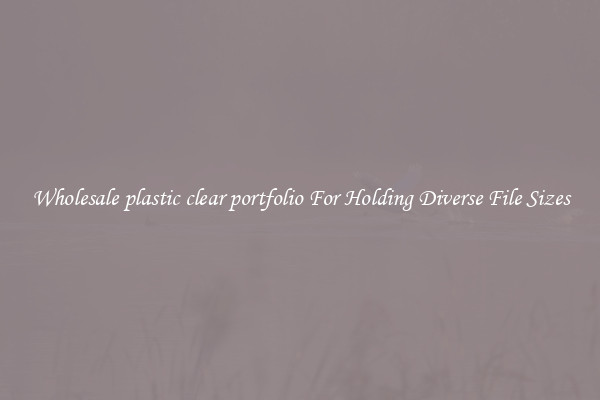 Wholesale plastic clear portfolio For Holding Diverse File Sizes