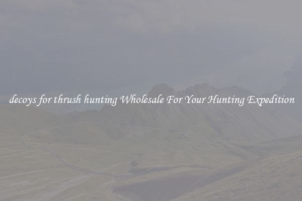 decoys for thrush hunting Wholesale For Your Hunting Expedition