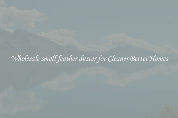 Wholesale small feather duster for Cleaner Better Homes
