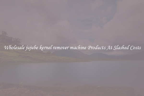 Wholesale jujube kernel remover machine Products At Slashed Costs