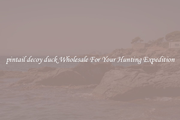 pintail decoy duck Wholesale For Your Hunting Expedition