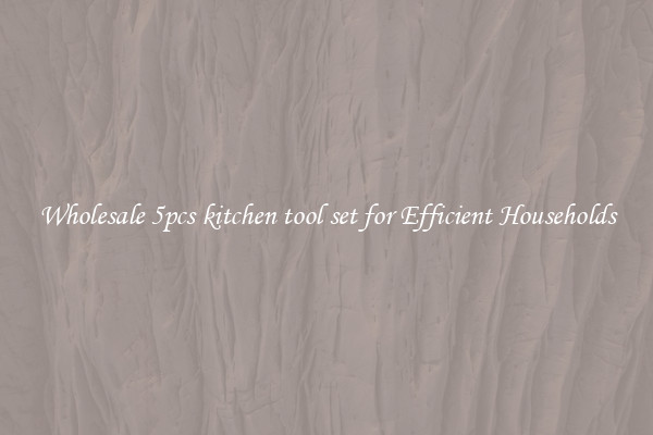 Wholesale 5pcs kitchen tool set for Efficient Households