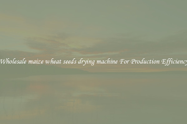 Wholesale maize wheat seeds drying machine For Production Efficiency
