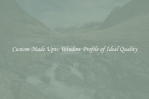 Custom-Made Upvc Window Profile of Ideal Quality