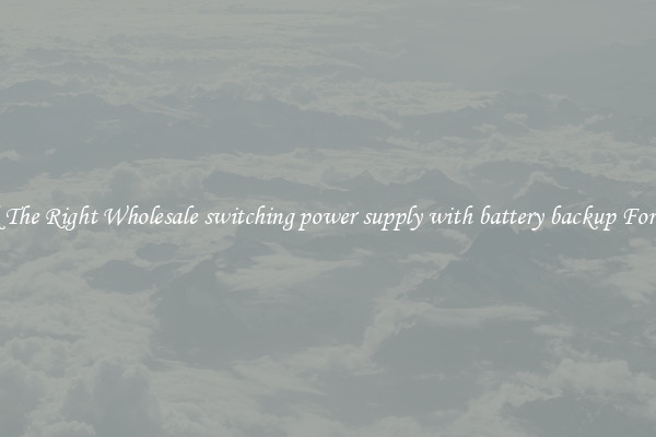 Pick The Right Wholesale switching power supply with battery backup For You