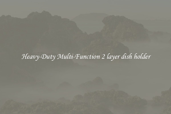 Heavy-Duty Multi-Function 2 layer dish holder