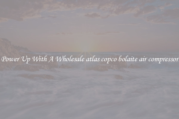 Power Up With A Wholesale atlas copco bolaite air compressor
